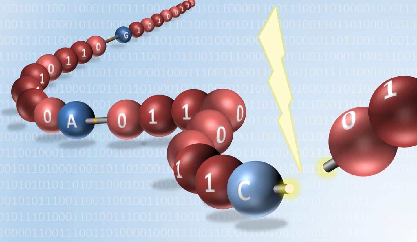 digitally encoded data in synthetic molecules read