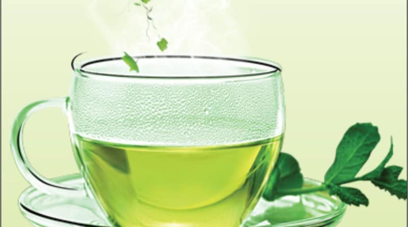control weight loss- Green Tea