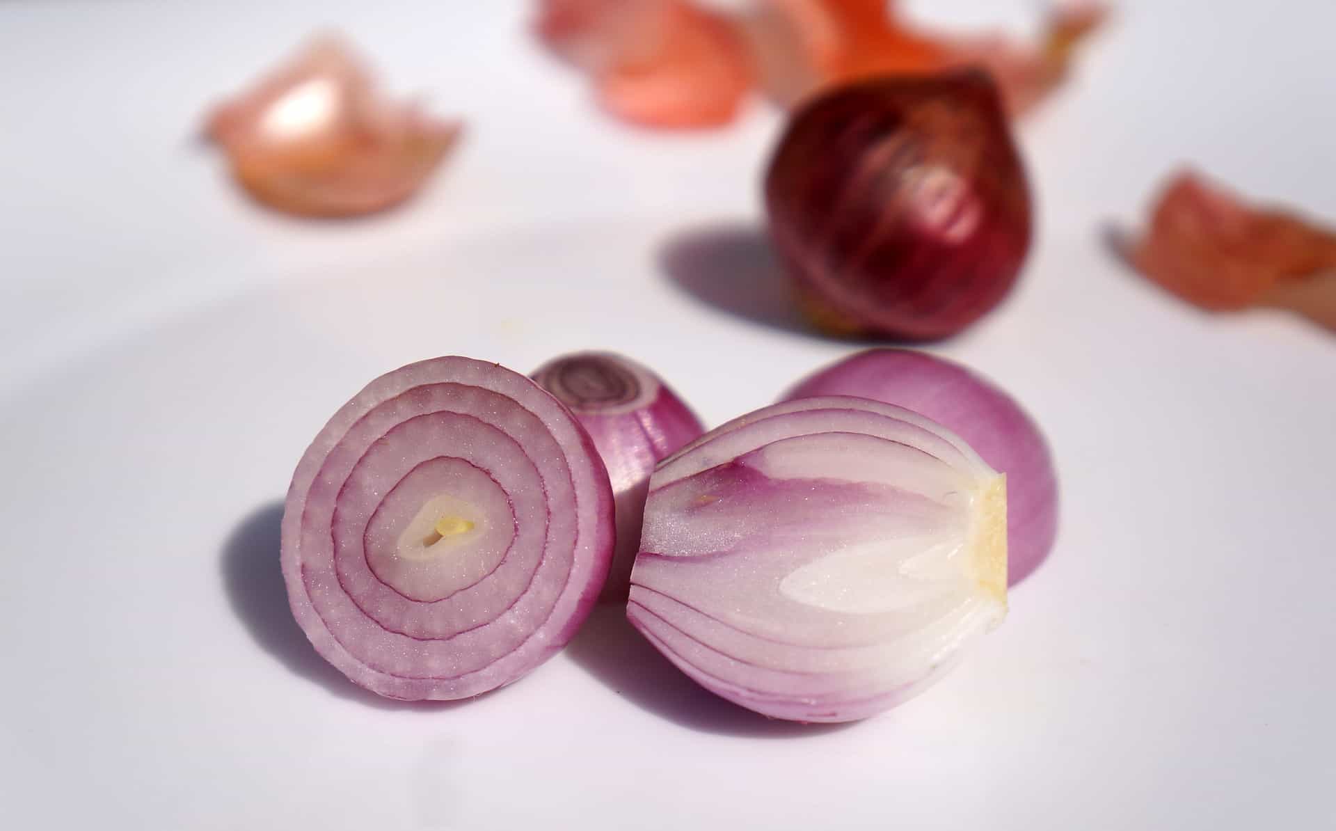spinonews Reasons to love onions