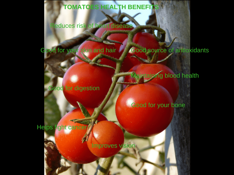 spinonews Tomatoes health benefits