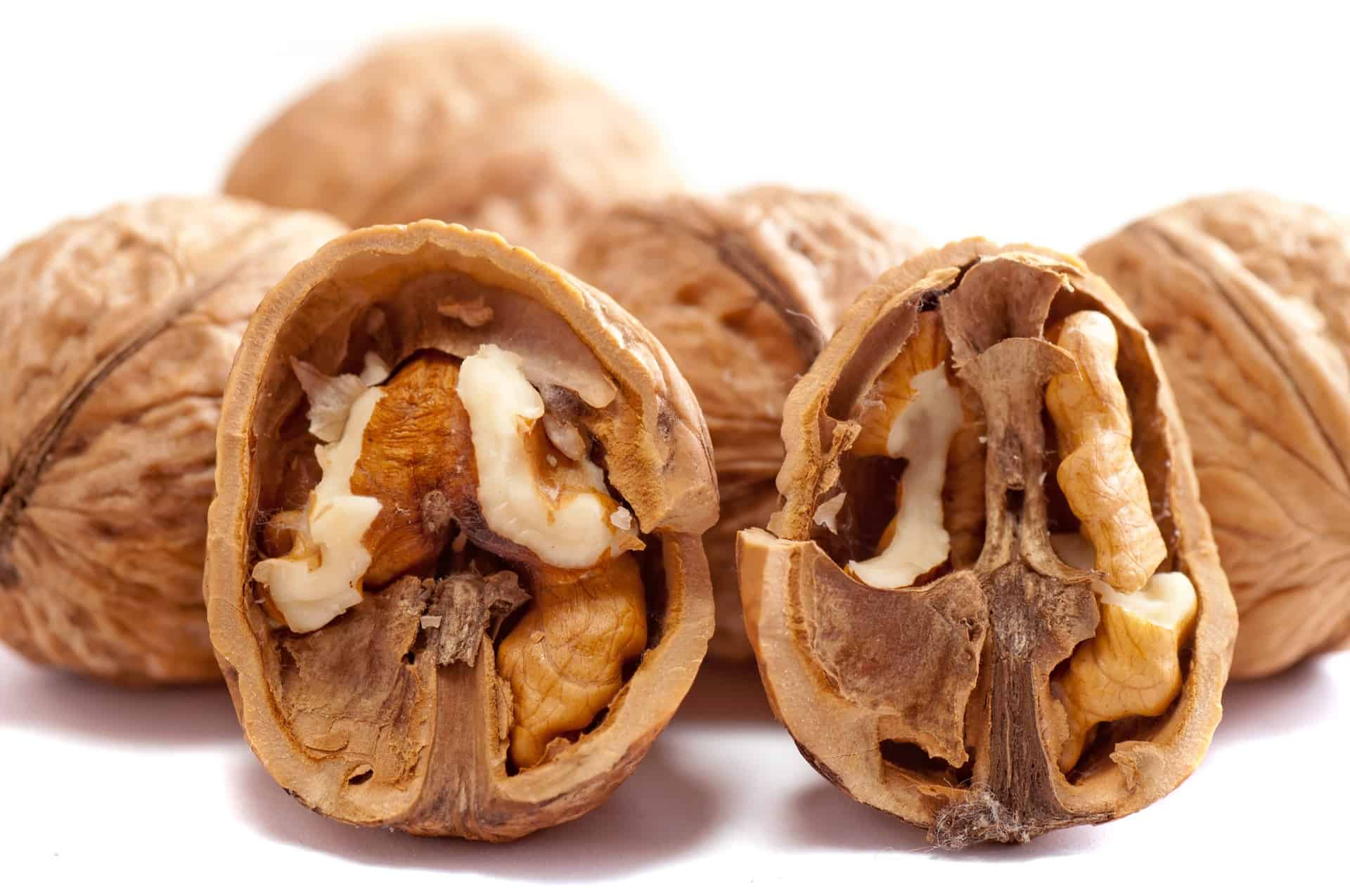 spinonews Walnuts health benefits