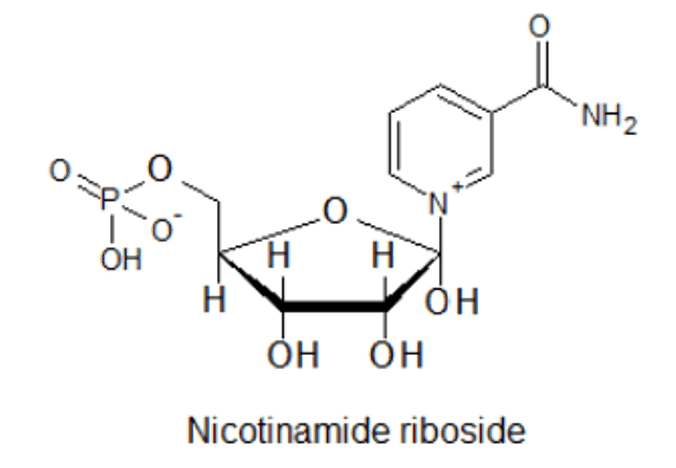 spinonews Nicotinamide Riboside