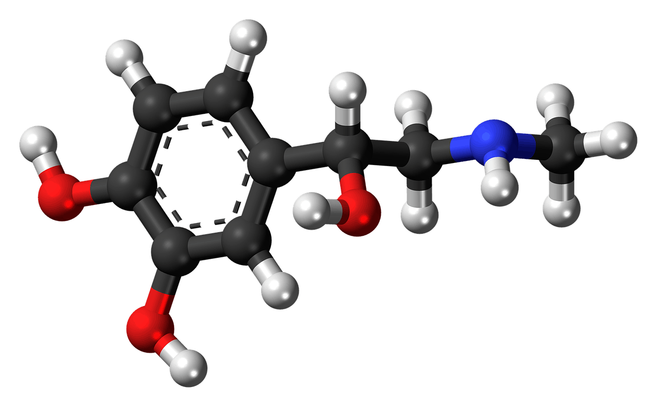 Spinonews dipolar molecule