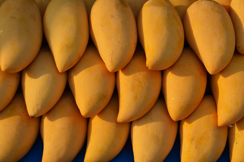 spinonews Mango Benefits