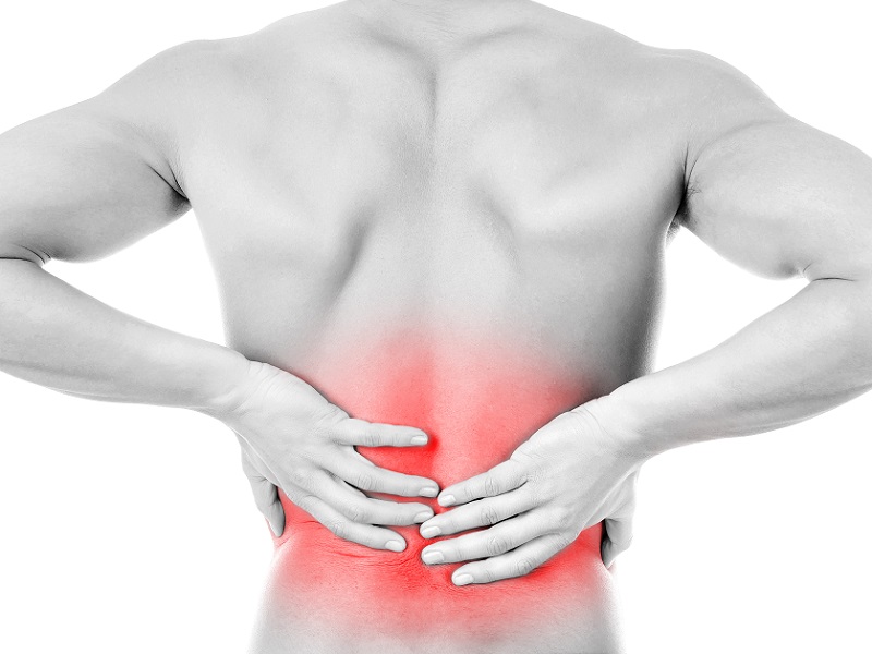 spinonews lower back pain